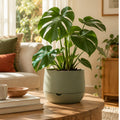 Self-Watering Ceramic Planter — scene view