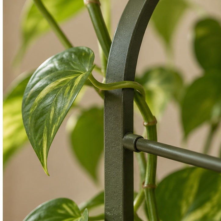 Arched Metal Plant Support Trellis — detail view
