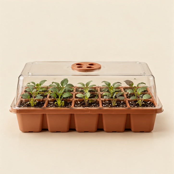 Seed Starter Greenhouse Kit — studio view