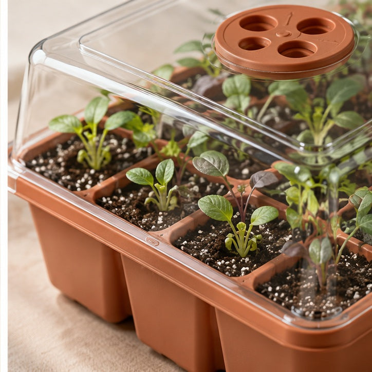 Seed Starter Greenhouse Kit — detail view